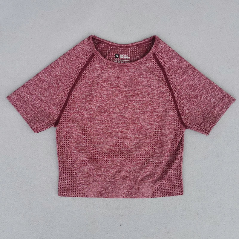 Gym Top for Women Short Sleeve Yoga Crop Top Sports T Shirts Clothes Fitness Seamless Workout Tee Sports Tops Activewear